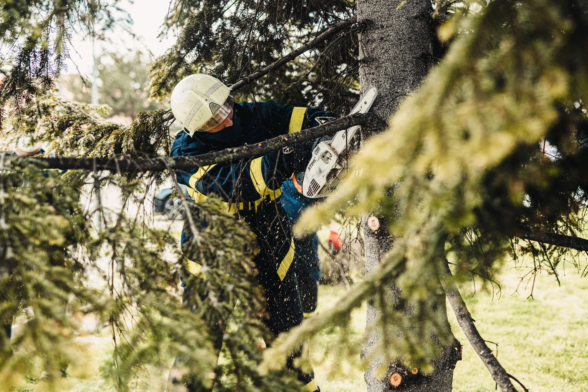 Træfældning i Aarhus: arborist skærer toppen af en stamme med motorsav